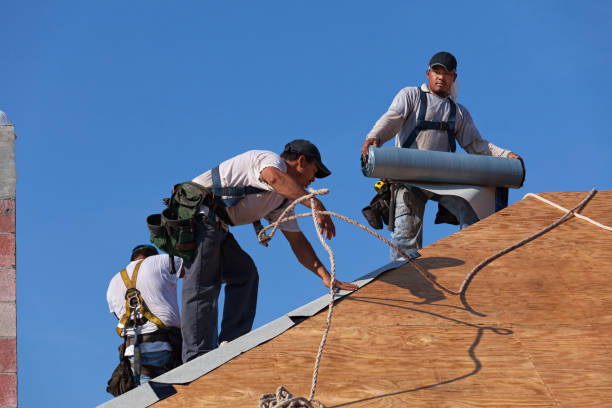 Best Roof Gutter Cleaning  in Girard, KS