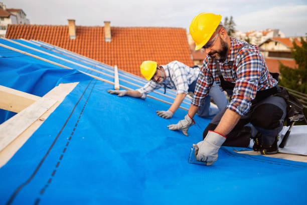 Best Roof Gutter Cleaning  in Girard, KS
